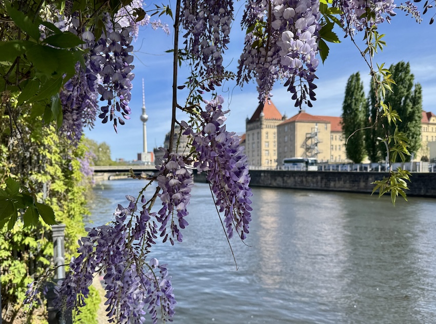 Berlin-Potsdam: Die Spree