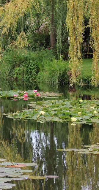 Jardin et étang en Normandie